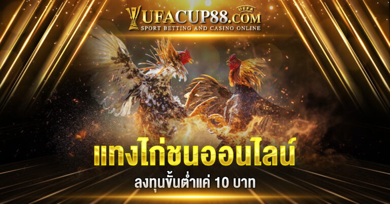 แทงไก่ชนออนไลน์